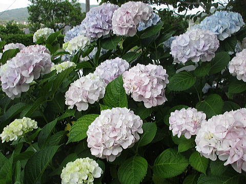 ��������