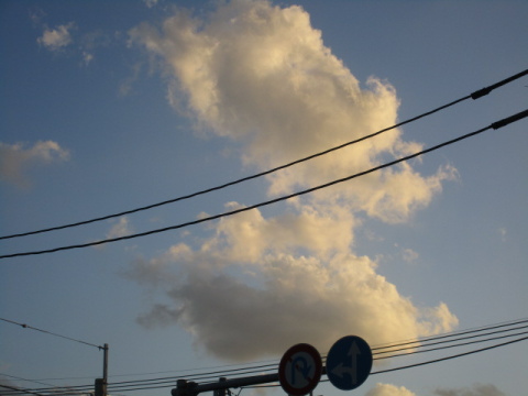 �d���A�W���A�_