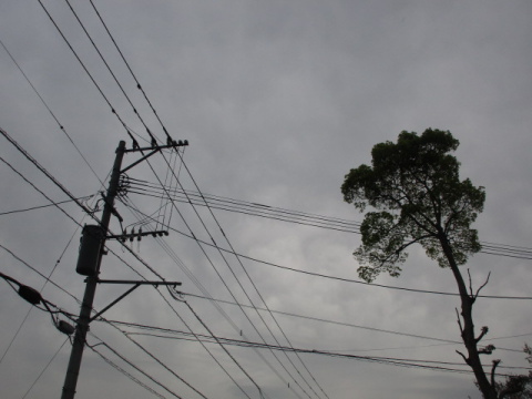 ���Ɠd���d��