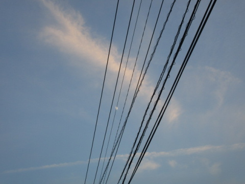 �d���Ɣ����_�A��