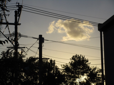 �d���d���A�_�Ǝ�