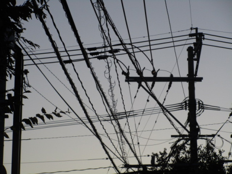 �d���d���Ȃ�