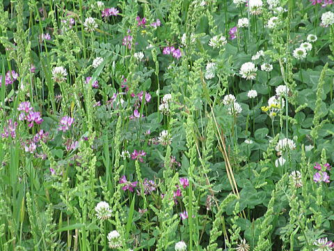 ���l����@�؂Ȃ�