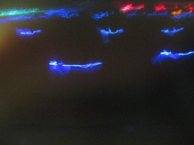 �@������̉H�c��`��i