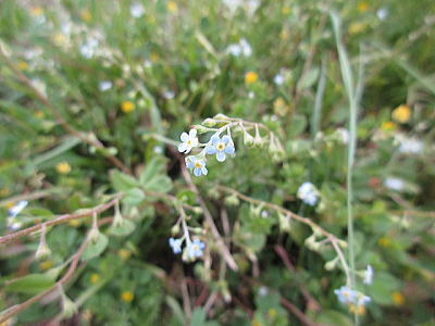 �L�E���O�T