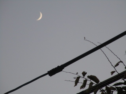 �O�����Ɠd��