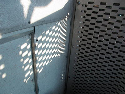 �o�X�̒��̉e