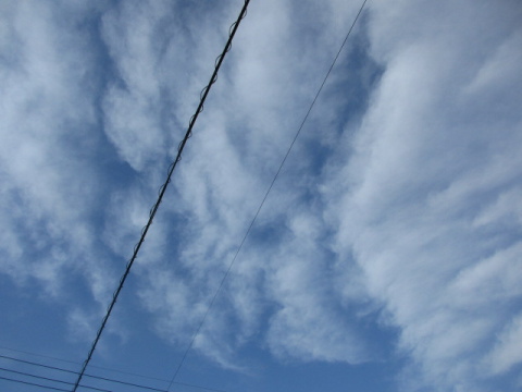 ��Ɣ����_�A�d��