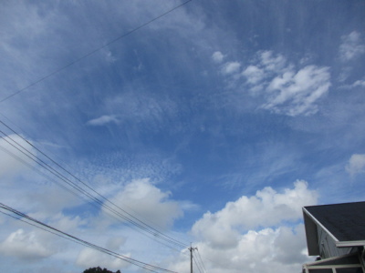 ��Ɣ����_