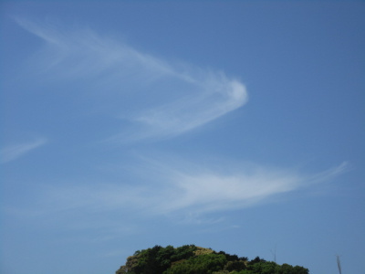 ��Ɣ����_