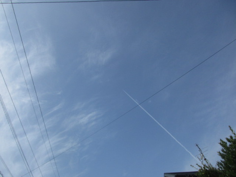 ��Ɣ����_