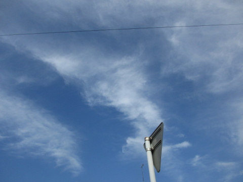 ��Ɣ����_�A�W��