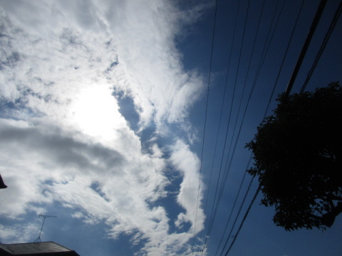 青空と白い雲、樹、電線