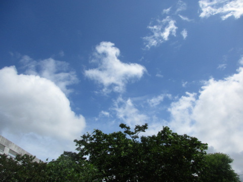 ��Ɣ����_�A��