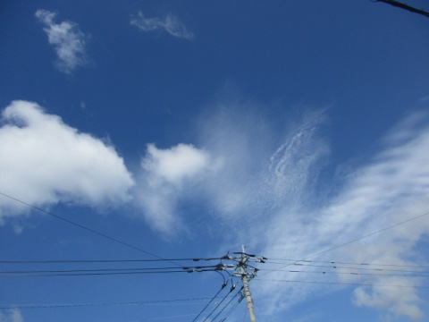 ��Ɣ����_�A�d���d��