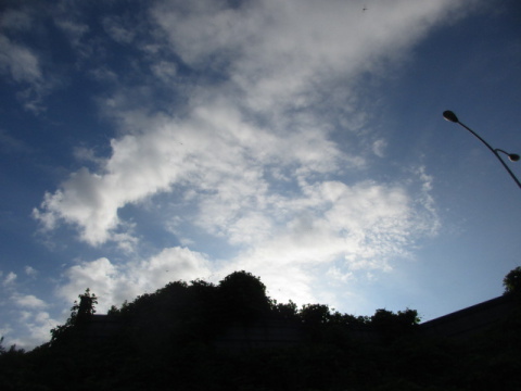 ��Ɣ����_�A�X���Ȃ�