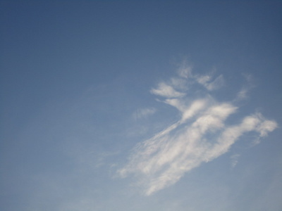 �[���̋�Ɖ_