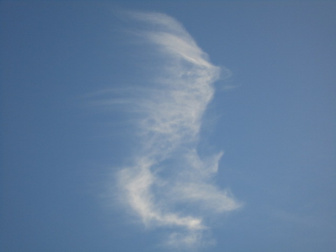 �[���̋�Ɖ_