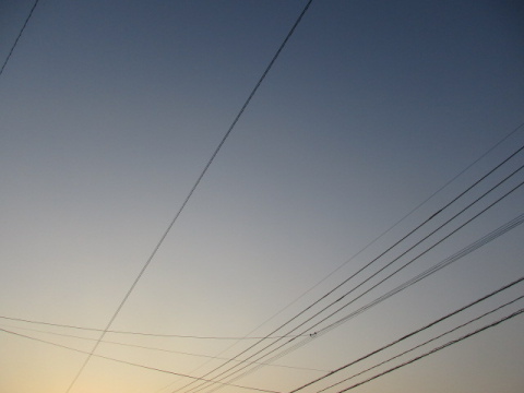 夕空と電線