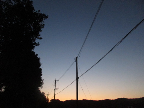 夕映え空と樹、電線電柱